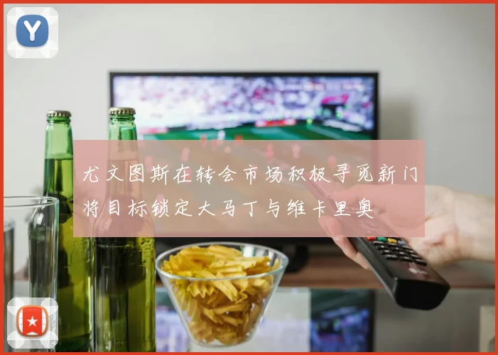 尤文图斯在转会市场积极寻觅新门将目标锁定大马丁与维卡里奥